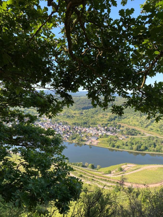 Und Gaestezimmer Peter Busch *