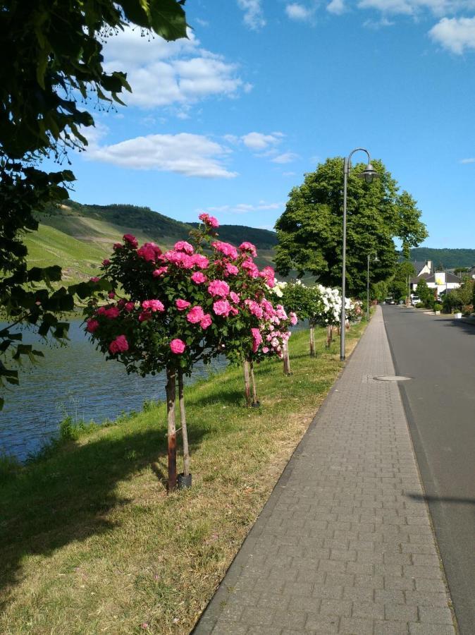 Und Gaestezimmer Peter Busch *