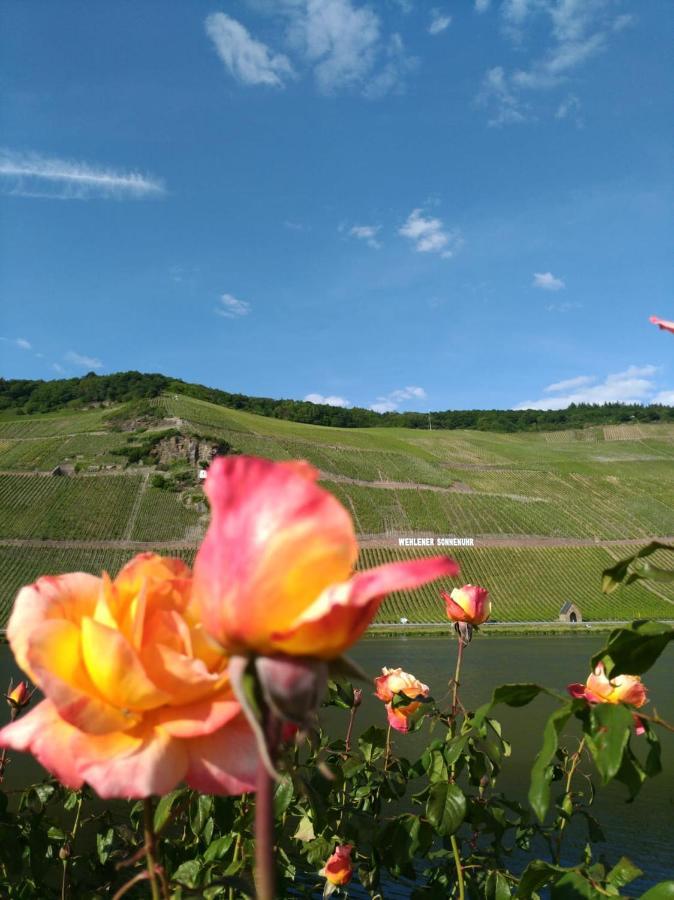 Und Gaestezimmer Peter Busch * Bernkastel-Kues