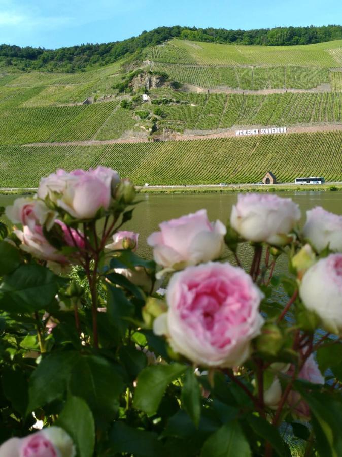 Und Gaestezimmer Peter Busch Bernkastel-Kues